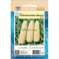 ราคา เมล็ดพันธุ์ ข้าวโพดข้าวเหนียว เทียนขาว ตราเจียไต๋ (20680759905)