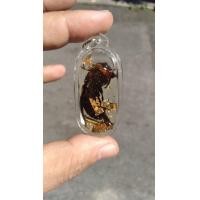 ราคา พญาต่อเงินต่อทอง เครื่องรางทำธุระกิจการงานหรือค้าขายดีนักแล กรอบในน้ำมันแก้วใส ของแท้ 100 (20560734041)