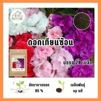 ราคา เมล็ดพันธุ์ดอกเทียนซ้อนบรรจุ 20 เมล็ด (21041725098)