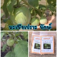 ราคา เมล็ดมะเขือเปราะยักษ์ มะเขือเปราะ ซื้อ 10 แถม 1 คละอย่างได้ (6203312550)