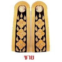 ราคา บ่าช่อชัยพฤกษ์ 2 และ 3 ดอกระดับปฏิบัติงาน มีทั้งผช และ ผญ (3883732796)