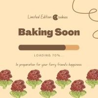 ราคา Paws sible ขนมแฮมสเตอร์ ขนมแฮมเตอร์ ขนมหนูแฮมเตอร์ ขนมหนูแฮมสเตอร์ ขนมหนูดัมโบ้ หนูดัมโบ้แรม ขนมสัตว์ฟันแทะ ขนมกระรอก (19834491150)