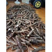 ราคา ราก โลดทะนงแดง ทะนงแดง ตากแห้ง ขุดใหม่จากป่า ของไทย สมุนไพรธรรมชาติ หนัก 1 กิโลกรัม ไม่มีสารพิษ (19068814042)