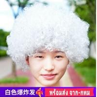 ราคา L L วิกปลอม วิกแอฟโฟร่ วิก แอฟโฟร่ หัวฟู ผมฟู เจ้าเงาะ เงาะป่า วิกเงาะ วิกผมหยิก วิกคอสเพลย์ คอสเพล ผมปลอม ผม (15141408572)