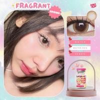 ราคา คอนแทคเลนส์ Kitty kawaii รุ่น Fragrant Brown สีน้ำตาล (20069123889)