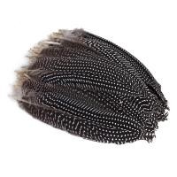 ราคา 10Piece Natural Pheasant Feathers Crafts DIY Party Feathers Jewelry Making Wedding Home Decoration Accessories 15 20cm (19963005065)
