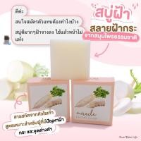 ราคา PUREWHITELIFE Miracle Facial Soap 70g เพียวไวท์ไลฟ์ สบู่ล้างหน้า หัวไชเท้า เพื่อผิวหน้าแลดูขาวกระจ่างใส ลดเลือนจุดด่างดำ ฝ้ากระแลดูจางลง (21145394062)