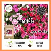 ราคา เมล็ดพันธุ์ดอกผีเสื้อ บรรจุ 100 เมล็ด (21041610852)