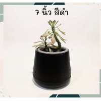 ราคา กระถางต้นไม้ กระถางต้นไม้พลาสติก กระถางเบลล่า กระถางมินิมอล งานไทย ราคาถูก พร้อมส่ง ขายดี (13975102926)