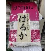 ราคา ข้าวญี่ปุ่น ฮารุคะ 5 Kg Japonica Rice ข้าวญี่ปุ่นพันธุ์ดี ปลูกในประเทศไทย (15235957803)
