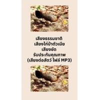 ราคา เสียงธรรมชาติ เสียงไก่ป่าตัวเมีย เสียงชัด รับประกันคุณภาพ เสียงต่อสัตว์ ไฟล์ MP3 (19287815513)