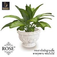ราคา กระถางโรมัน ROSE กระถางปูนปั้น จัดสวน ประดับสวน แต่งสวน (10072399651)