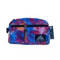 ราคา กระเป๋าGREGORYกระเป๋าคาดเอวกระเป๋าสะพาย (13205687221)