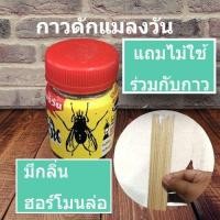 ราคา กาวดักแมลงวัน ตราอัศวิน (17205492803)