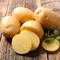 ราคา มันฝรั่ง มันฝรั่งสด มันบี สินค้าสดใหม่ ไม่เก่าเก็บ ขนาด10kg (20934659644)