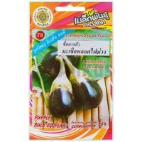 ราคา เมล็ดพันธุ์ มะเขือหลอดไฟม่วง ตราสี่ทิศ (20728709899)