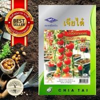 ราคา เมล็ดพันธุ์ มะเขือเทศ เชอร์รี่สวีทปริ้นเซส (19262169208)