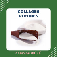 ราคา Collagen peptides ญี่ปุ่น คอลลาเจนเปปไทด์ (19724594099)