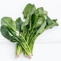 ราคา เมล็ดพันธุ์ ปวยเล้ง ปวยเล้งญี่ปุ่น 350 เมล็ด 10 เเถม 1 คละได้ (10697204705)