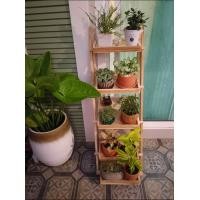 ราคา ชั้นวางพับเก็บได้ 5 ชั้น ชั้นวางขนม ชั้นวางต้นไม้ ชั้นวางตกแต่งร้าน ชั้นวางของ ชั้นวางพับได้งานไม้สัก (20005187397)