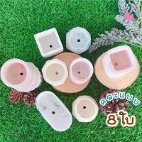 ราคา กระถางปูนคละแบบ 8 ใบ (20608419703)