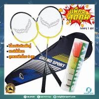 ราคา ไม้แบดมินตัน รุ่น TWIN STINGER GRAND SPORT 372187 (19431288470)