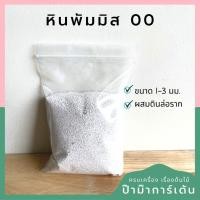ราคา หินภูเขาไฟ หินพัมมิส สำหรับ แคคตัส กระบองเพชร BY Pumice (17340766663)