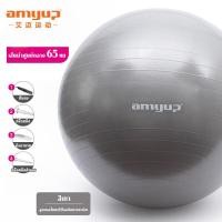 ราคา amyup ลูกบอลโยคะ บอลโยคะ บอลกายภาพบำบัด ลูกบอลออกกำลังกาย 25 65 เซนติเมตร Mini PILATES Ball 25cm 65cm (18805295383)