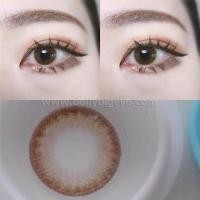 ราคา Sale ลด ล้าง สต๊อก สายตาสั้น 0 75 คละยี่ห้อ (20069126774)