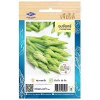 ราคา เมล็ดผักใบ กระเพรา โหระพา แมงลัก ผักเสี้ยน ผักชีลาว ผักชี ผักโขมใบกระ ผักโขมแดง ผักกาดหอมเมล็ดขาว ผักกาดหอม เจียไต๋ (19851385552)