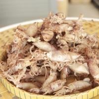 ราคา หมึกกะตอยต้ม พร้อมทาน เข้ามาใหม่ต้มแล้วอร่อยทำได้หลากหลายเมนู ต้มผัดแกงทอด ฟินมากจ้า (20675460166)