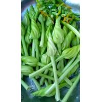 ราคา เมล็ดพันธุ์ ดอกชมจันทร์ 5 เมล็ด กินดี มีประโยชน์ ดอกชมจันทร์ เมล็ดผักต่างๆ เมล็ดพันธุ์ผัก เมล็ดผัก (16942650485)