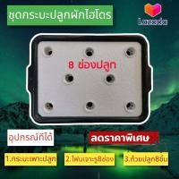 ราคา ชุดปลูกผักสลัด ขนาด8รู ชุดทดลองปลูกผักไฮโดรโปนิกส์ ชุดปลูกผักไร้ดิน ชุดปลูกผักน้ำนิ่ง (16273844808)