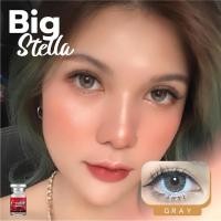 ราคา คอนแทคเลนส์ Lovely รุ่น Big Stella Gray สีเทา (20069176484)
