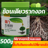 ราคา 3วันหยั่งราก สารเร่งรากชนิดผง ยาเร่งราก ผงเร่งราก ผงเร่งรากพืช 500g อุดมไปด้วยธาตุ ปลอดภัย ไร้สารพิษ ใช้ได้พืชทุกชนิด รากงอกเร็ว รากเยอะ อัตรารอดสูง แก้ปัญหาเช่นรากเน่า สารเร่งราก สารเร่งรากพืช ผงเร่ 