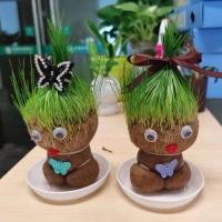 ราคา Summer Air ตุ๊กตาหัวหญ้า ตุ๊กตาหญ้า หญ้าแมว กระถางสร้างสรรค์ grass head ของเล่นเด็ก (20524066596)
