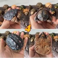 ราคา bighead series snipping turtle figurines recast โมเดลเต่าตัวเล็ก (14422396726)