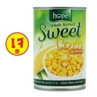 ราคา เมล็ดข้าวโพดหวานในน้ำเกลือ HOPE SWEET CORN 410 g (15408625200)