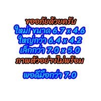 ราคา ตะกร้อ ตะกร้อมะเฟือง ตะกร้อปลาบึก ตะกร้อวิ่ง ตะกร้อตะกั่ว (20633898765)