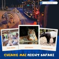ราคา บัตรเข้าใช้บริการ เชียงใหม่ ไนท์ซาฟารี (21000118816)