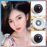 ราคา คอนแทคเลนส์ Dreamcolor1 รุ่น Hanabi เลนส์รายเดือน กันรังสียูวี มีค่าสายตา 0 00 10 00 (19456870897)
