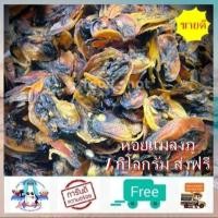 ราคา หอยแมลงภู่แห้ง 1 กิโลกรัม ส่งฟรี ค่าส่ง 0 บาท หอยแมลงภู่ตากแห้ง สด ใหม่ แม่กลอง อาหารทะเลแห้ง อาหารทะเลแปรรูป สินค้าแห้ง food shot (7770865789)