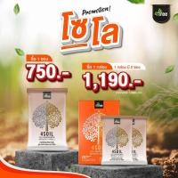ราคา ชุดโปรชั่น 4 Soil สารเพิ่มประสิทธิภาพดิน สารปรับปรุงบำรุงดิน สูตรเข้มข้น ชนิดผง ตราโฟร์ที (21117355386)