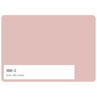 ราคา Beger ONE สีทาภายใน 188 2 สีผสมรองพื้น ขนาด 8 ลิตร สีเบเยอร์ ทารอบเดียวจบ (14641565613)