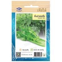ราคา เมล็ดผักใบ กระเพรา โหระพา แมงลัก ผักเสี้ยน ผักชีลาว ผักชี ผักโขมใบกระ ผักโขมแดง ผักกาดหอมเมล็ดขาว ผักกาดหอม เจียไต๋ (19851385553)