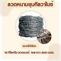 ราคา ลวดหนาม ลวดหนามชุบกัลวาไนซ์ ชุบร้อนทนสนิม 5kg 10kg ลวดเบอร์ 14 16 รั้วบ้าน รั้วกั้น รั่ว (17237289215)