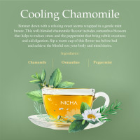 ราคา ชาดอกไม้ ซิกเนเจอร์เบลนด์ เพื่อการนอนหลับผ่อนคลาย Sleep Tea Signature Blends (19887316288)