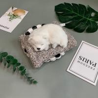 ราคา ตุ๊กตากระต่าย ตุ๊กตาหมา ตุ๊กตาแมว ตุ๊กตาหมีแพนด้า ตุ๊กตาจิ้งจอก ตุ๊กตาดูดกลิ่น น่ารักฝุดๆ ตุ๊กตา ตุ๊กตาน่ารัก (16012822916)