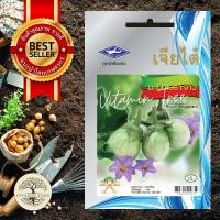 ราคา เมล็ดพันธุ์ มะเขือเปราะ จาว 0 5กรัม เมล็ด ต้นไม้ เมล็ดผัก เมล็ดดอกไม้ ดอกไม้ ผัก ผักสวนครัว สลัด เมล็ดพันธุ์พืช (10038687658)