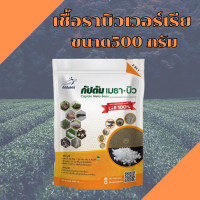 ราคา เชื้อราบิวเวอร์เรีย เชื้อราเมธาไรเซียม แบบผง 500กรัม (20457701568)